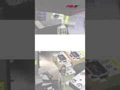 RM-EGB agarre eléctrico. Selección y ubicación de los componentes Inspección en la industria automotriz