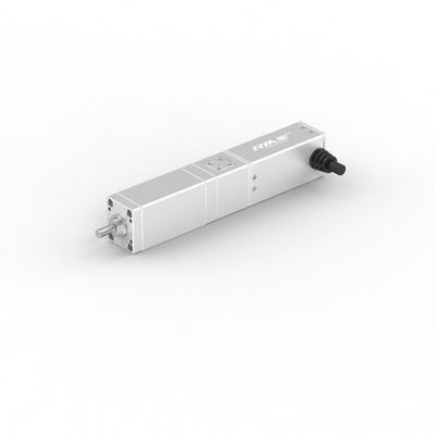 Actuador lineal eléctrico recto de alta precisión de la serie RM-SLA de RobustMotion con servomotor,50/100 mm de carrera, IP40