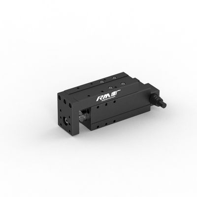 Actuador lineal tipo micro plataforma RM-NPLA, cilindro eléctrico servo para tirar, empujar y presionar