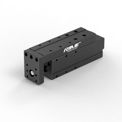 Actuador lineal eléctrico RM-NPLA, actuador lineal de tipo micro plataforma, de alta velocidad y constante