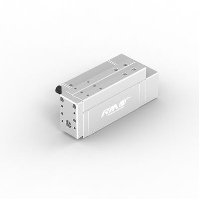 Actuador lineal industrial eléctrico RobustMotion RM-RPLA con controlador integrado, fuerza máxima de salida 300N