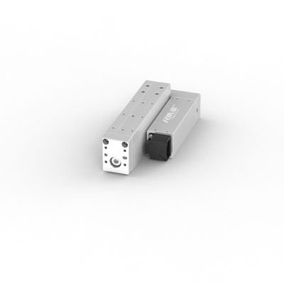 RobustMotion Industrial Actuador lineal de alta velocidad de alta precisión ± 0,02 mm para empujar y tirar