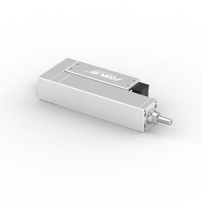 RobustMotion RM-RLA Rod tipo de actuador eléctrico, movimiento lineal de alta precisión para la automatización industrial